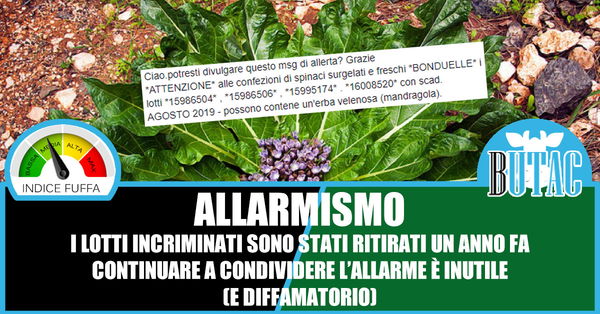 Gli spinaci Bonduelle contaminati con la mandragola