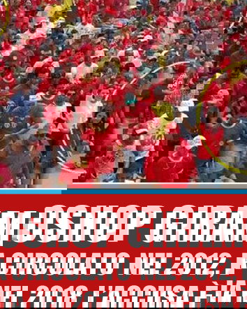 Gira la bufala: i manifestanti clonati