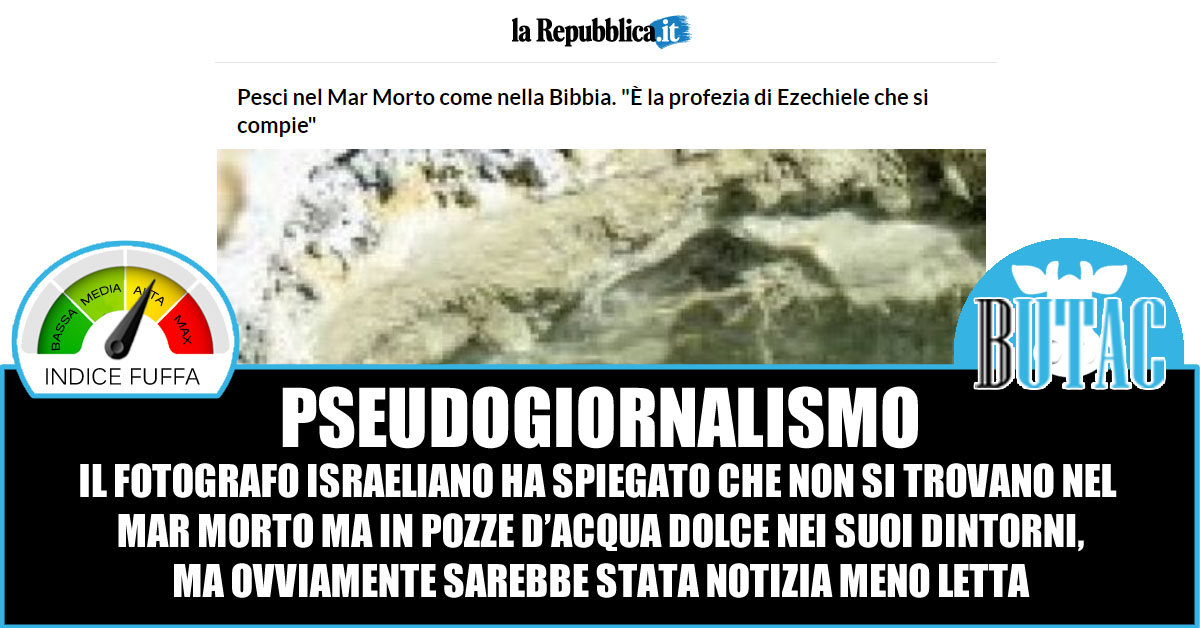 I pesci nel mar Morto, non sono nel mar Morto… article-post