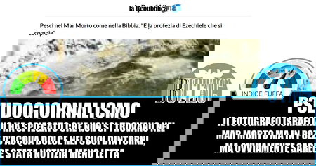 I pesci nel mar Morto, non sono nel mar Morto… article-post