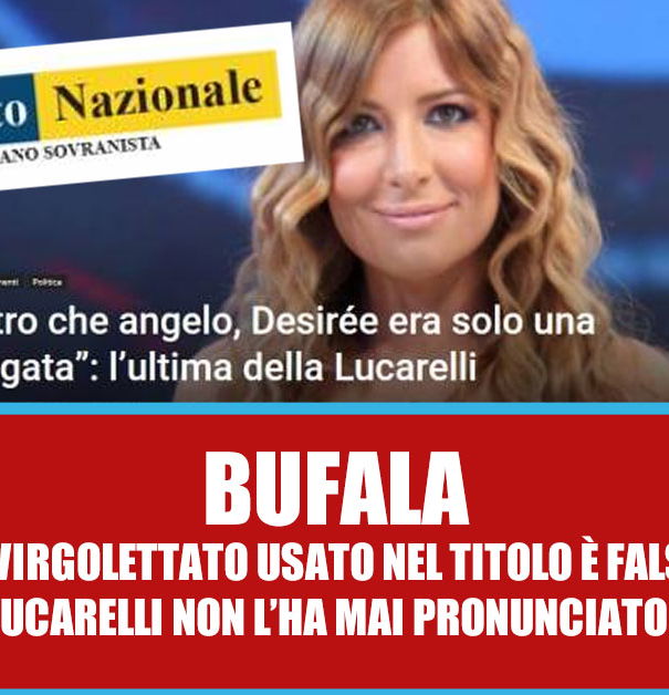 I virgolettati del Primato Nazionale – Selvaggia Lucarelli article-post
