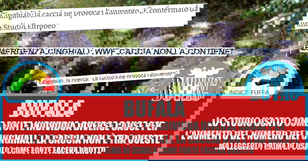 La caccia ai cinghiali ne provoca l’aumento?