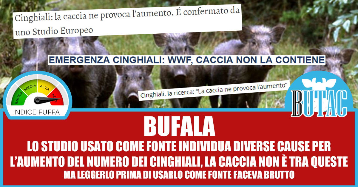 La caccia ai cinghiali ne provoca l’aumento? article-post