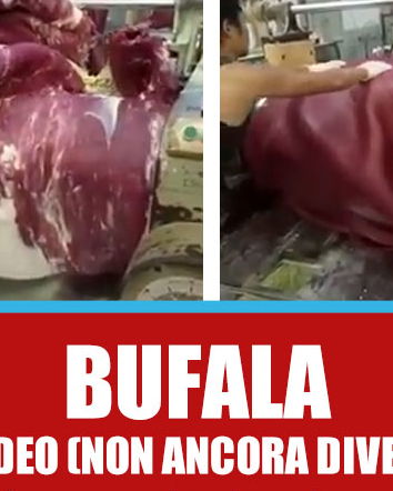 La carne finta cinese