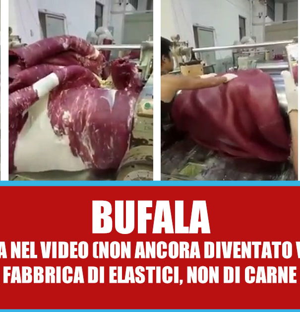 La carne finta cinese article-post