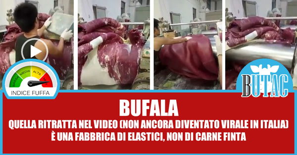 La carne finta cinese