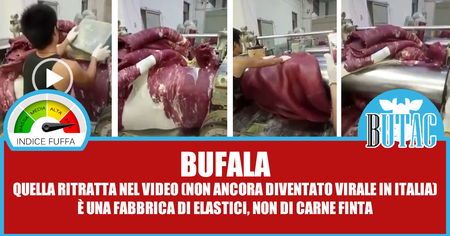 La carne finta cinese article-post