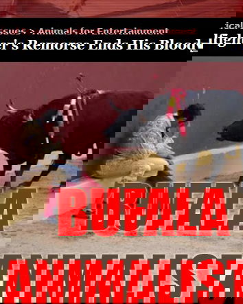 Il pianto del torero