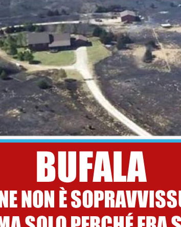 Incendi, armi a energia diretta e misteri