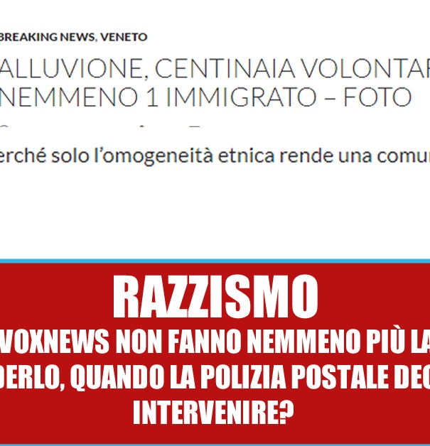VoxNews e l’omogeneità etnica article-post
