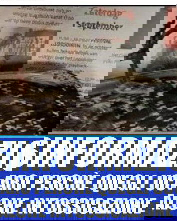 Gli uccelli morti per il 5G