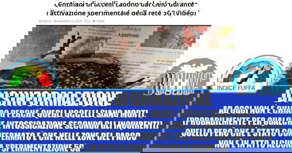 Gli uccelli morti per il 5G