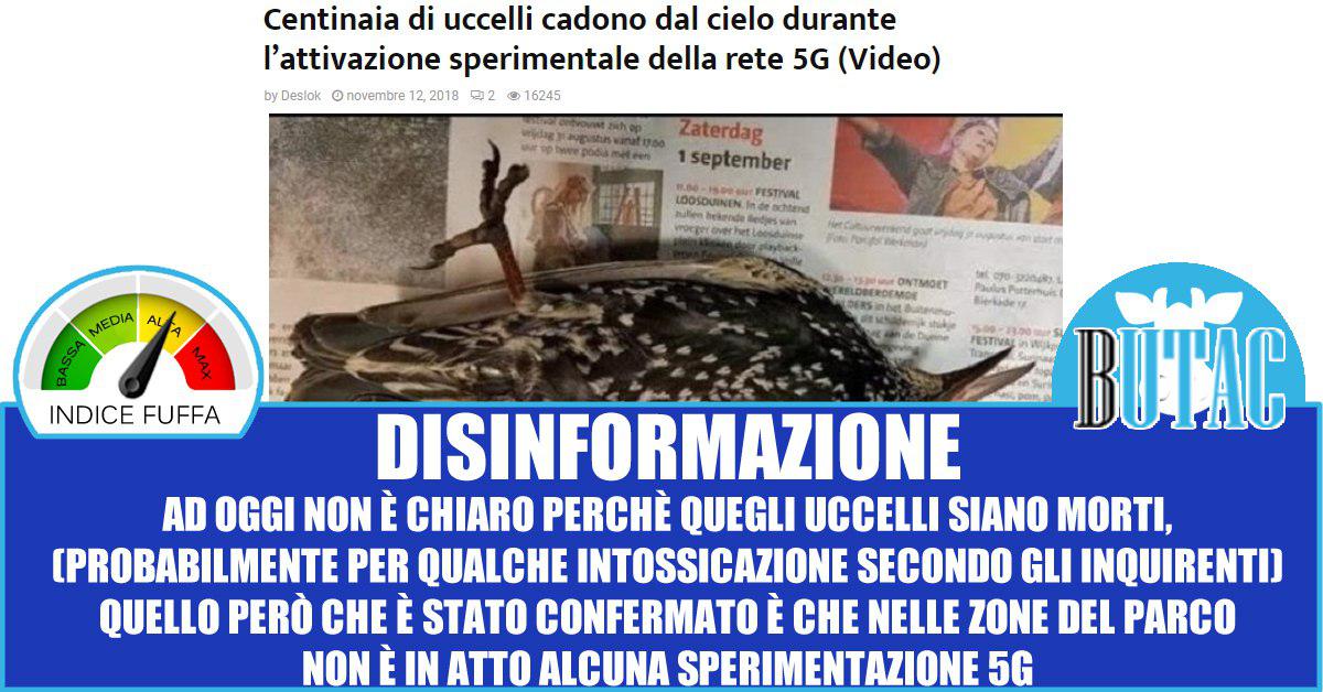 Gli uccelli morti per il 5G article-post
