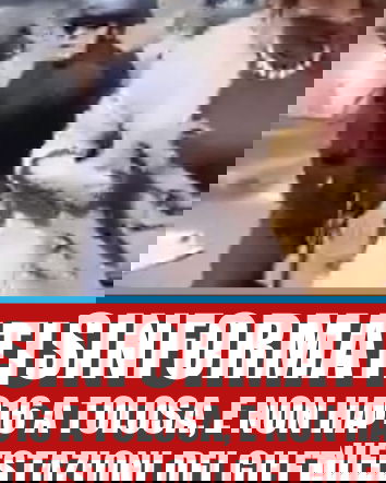 La donna francese picchiata dal gendarme