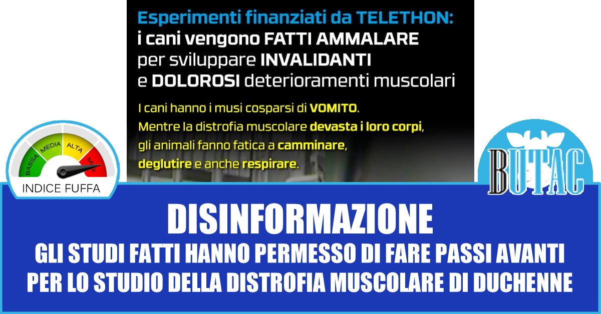 Telethon, gli animalari e la distrofia muscolare di Duchenne article-post