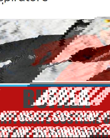 Bufale sotto l’albero Vol. 3 – Michael Schumacher