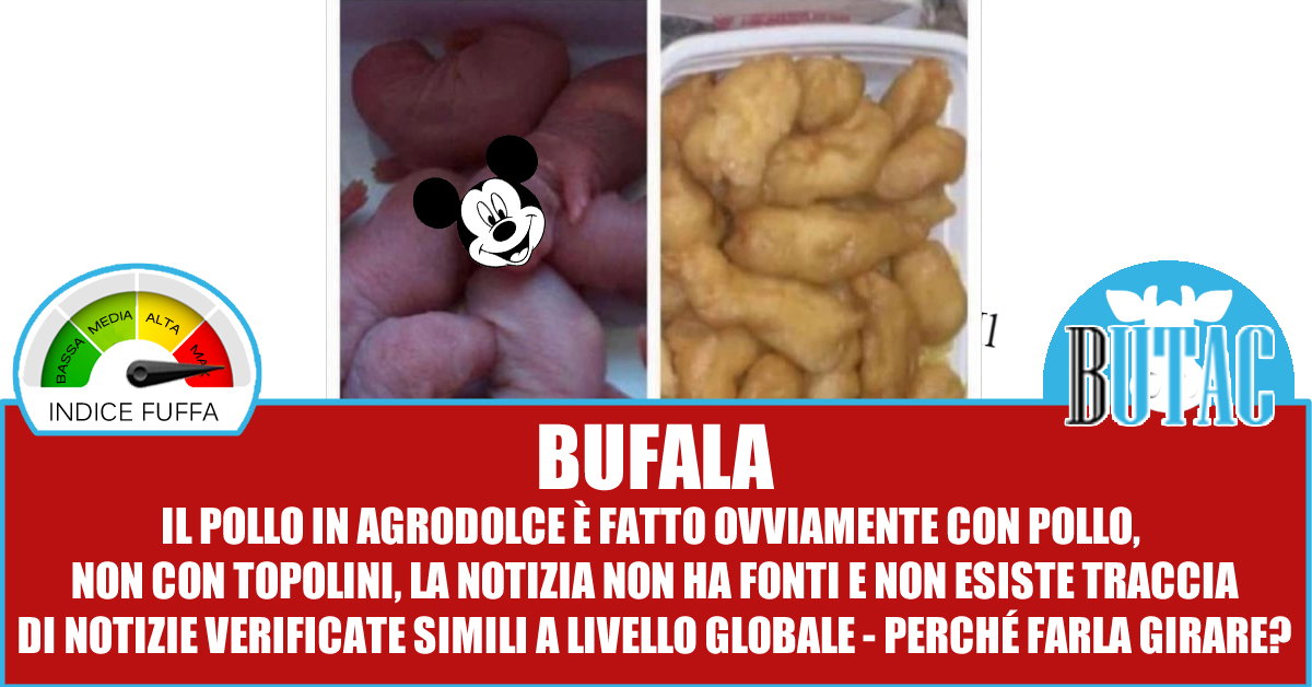 Il pollo in agrodolce e i ratti article-post