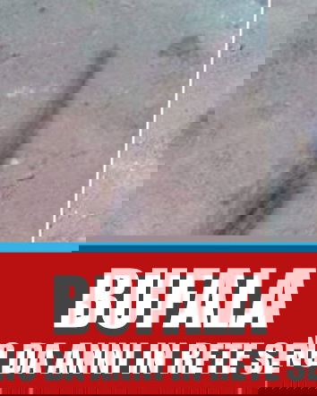 Hanno trovato uno strano animale