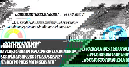 Useremo solo grano italiano article-post