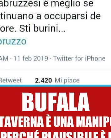 Paola Taverna e i burini