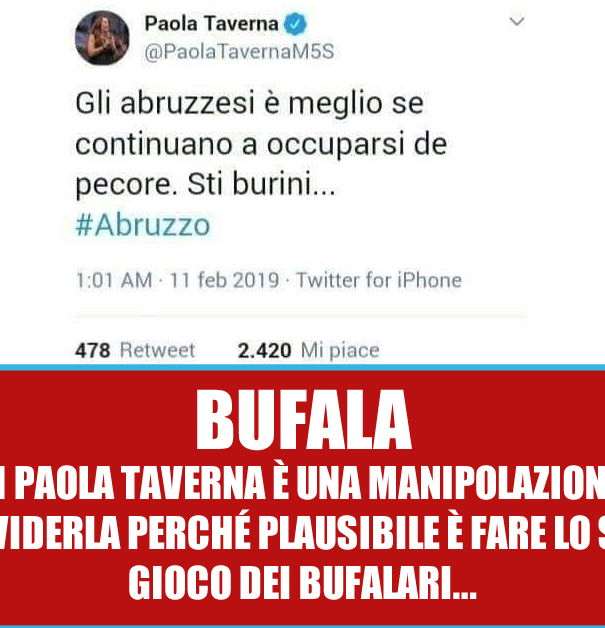 Paola Taverna e i burini article-post