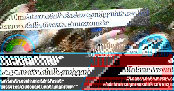 La balena spiaggiata nel cuore della foresta amazzonica