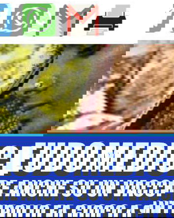 Renovatio 21, l’India e il vaccino per la polio