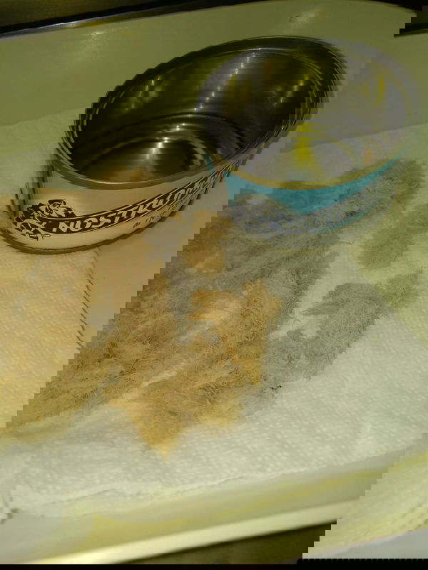 Tonno adulterato con la lana?