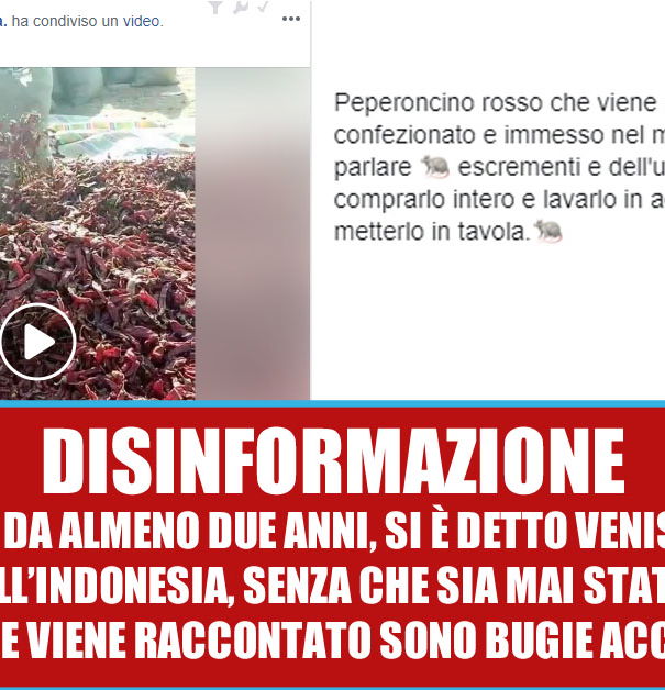 Peperoncino coi topi article-post