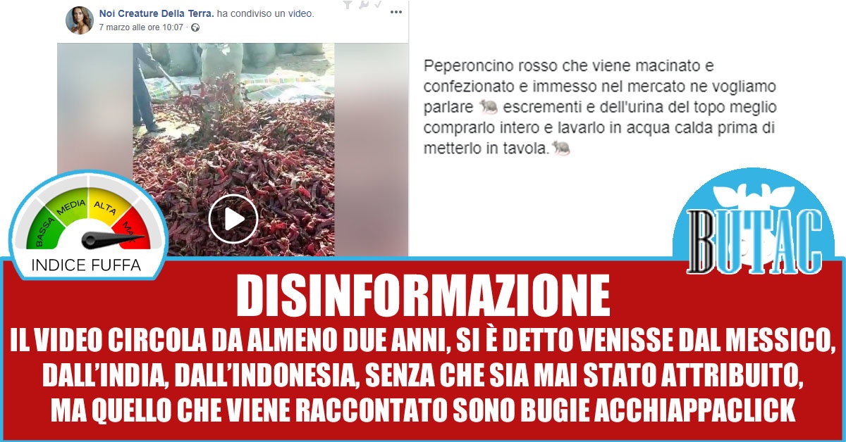 Peperoncino coi topi article-post