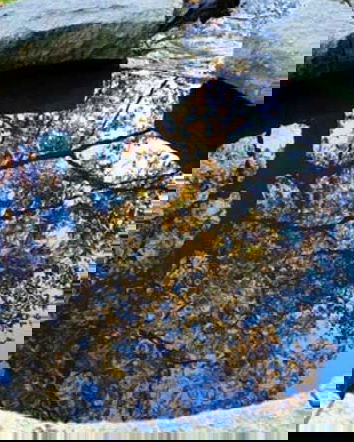 Avvelenatori di pozzi