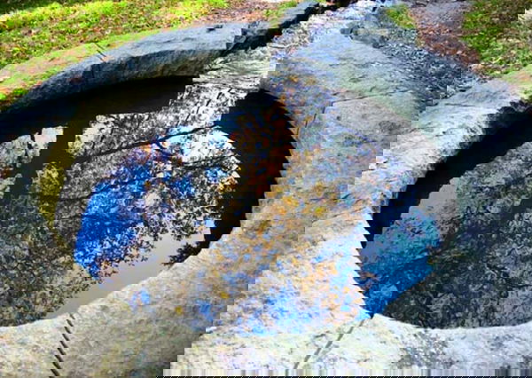 Avvelenatori di pozzi