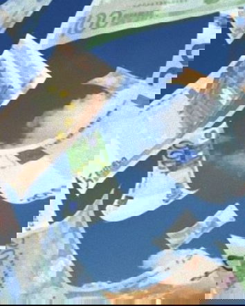 Ma ve la ricordate Lyoness?