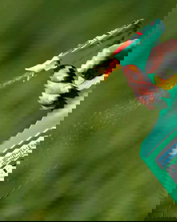 Chi seleziona cosa leggiamo?