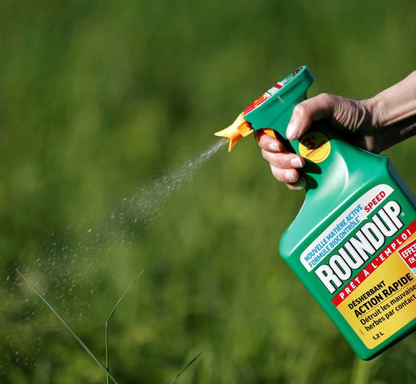 Glifosato sempre odiato article-post