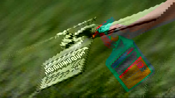 La sostanziale differenza tra “giuria” e “giudici”