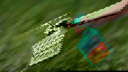 Chi seleziona cosa leggiamo? article-post