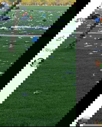 Ambientalisti o amanti delle canne?