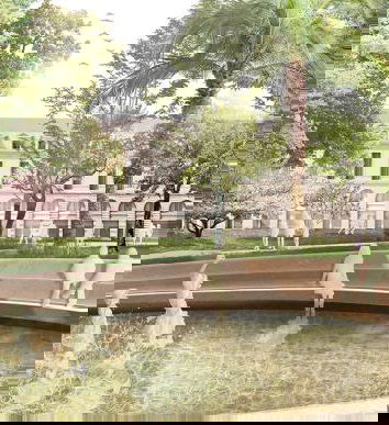 Alberi abbattuti per il 5G