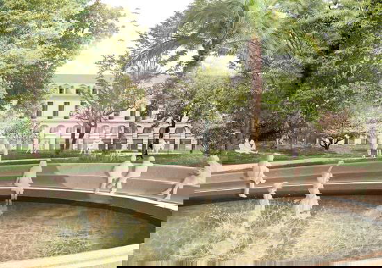 Alberi abbattuti per il 5G article-post