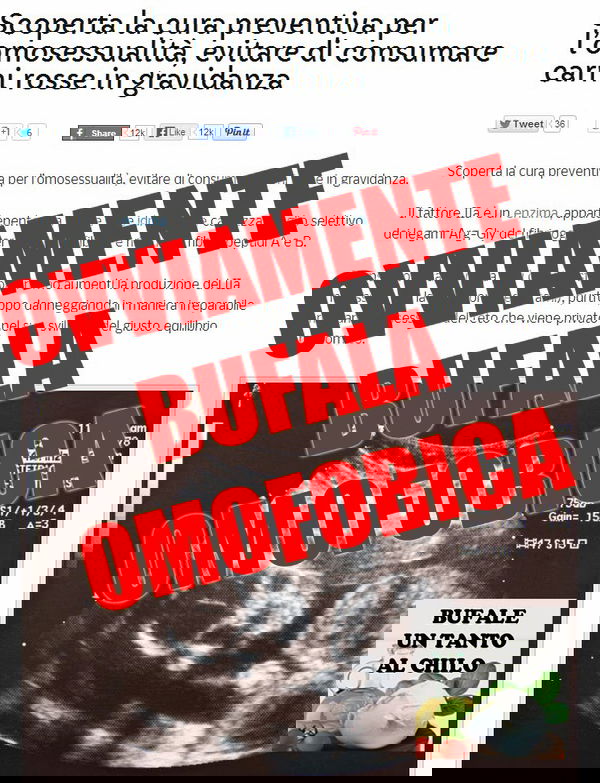 Omofobia e gravidanza