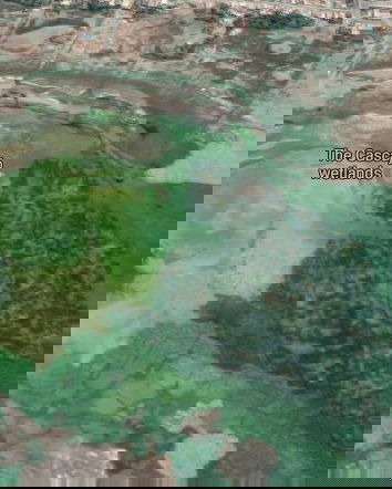 Il lago pulito (da alghe e batteri)