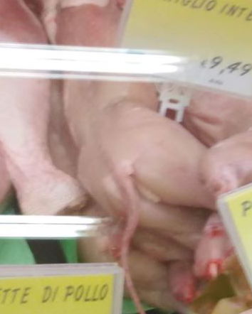 Gatti venduti al supermercato al posto del coniglio