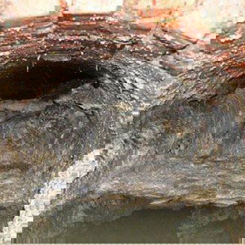 Come liberarsi dell’olio da cucina…