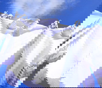 Ozono un tanto al chilo