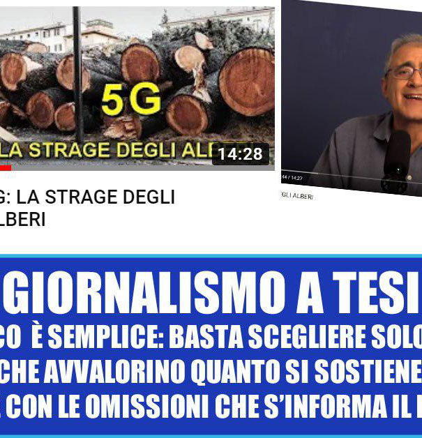 La strage degli alberi per colpa del 5G Vol. 2 article-post