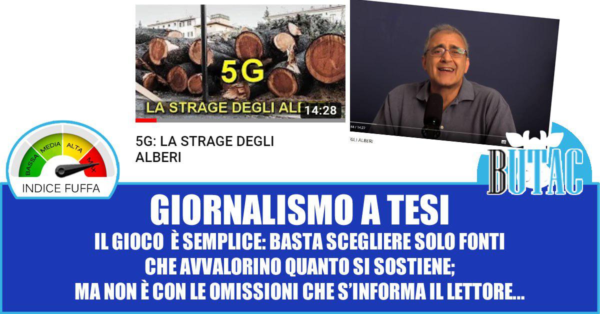La strage degli alberi per colpa del 5G Vol. 2 article-post