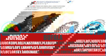 Condividi prima che cancellino article-post