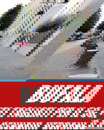 Gli alberi e il 5g, ci risiamo