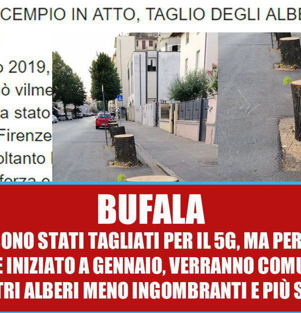 Gli alberi e il 5g, ci risiamo article-post